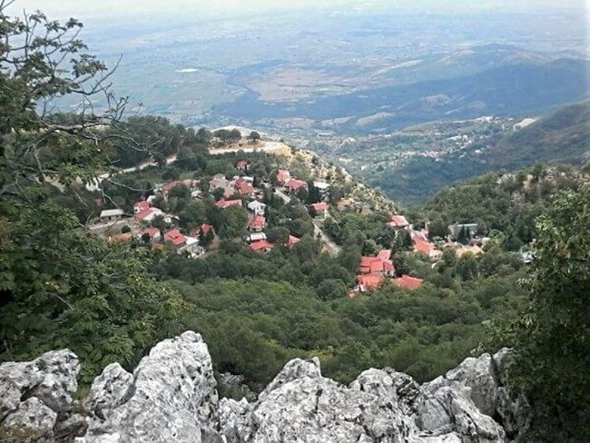 ΚΟΡΗ ΤΡΙΚΑΛΑ