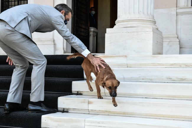 Ο πρωθυπουργός φθάνει στο Μαξίμου και ο Peanut τον υποδέχεται περιχαρής [εικόνες]