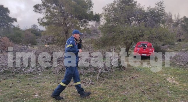 Φωτιά στη Ζάκυνθο: Σε εξέλιξη πυρκαγιά σε δασική έκταση στο χωριό του Κοιλιωμένου