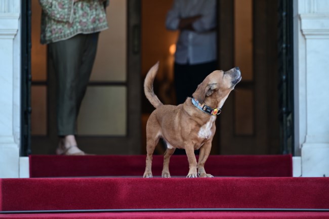 πριγκιπισσα Κάκο