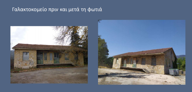 tatoi