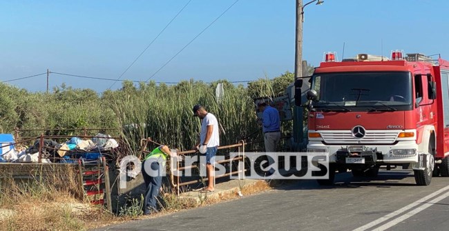 Νεκρός Ηλεία