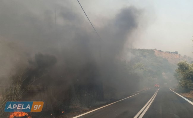 Φωτιά στο Γύθειο