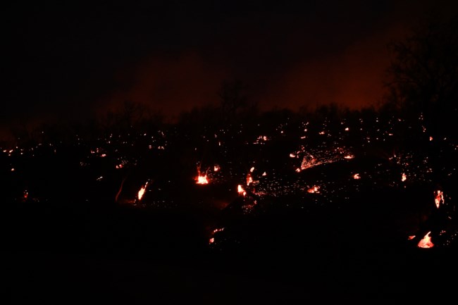 Φωτιά στη Βοιωτία: Έχει κυκλώσει το χωριό Στείρι η πυρκαγιά- Μεγάλο το μέτωπο [Βίντεο]