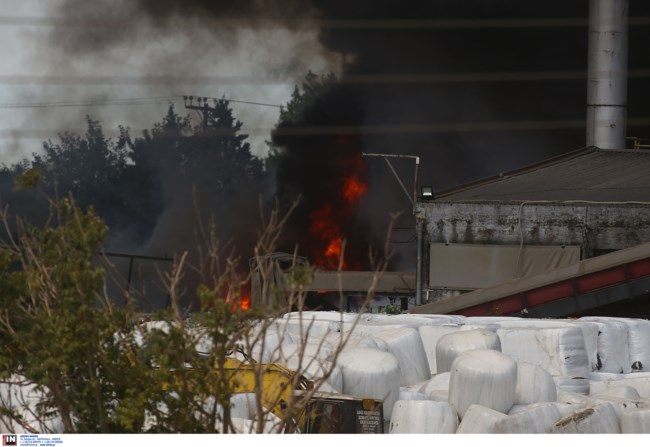 Φωτιά στη Σίνδο: Ενισχύθηκαν οι πυροσβεστικές δυνάμεις στην εταιρεία ανακύκλωσης - "112" για πυκνούς καπνούς