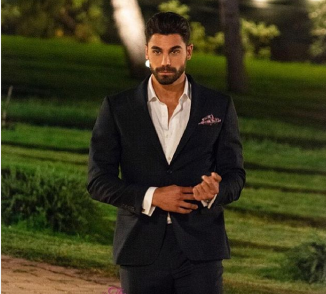 Bachelor
