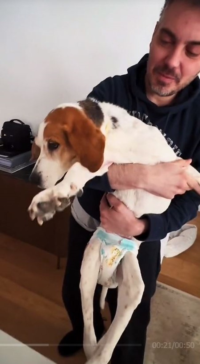 χατζ