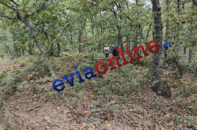 Τραγικό εργατικό δυστύχημα στην Εύβοια: Κορμός χτύπησε 35χρονο δασεργάτη στο κεφάλι