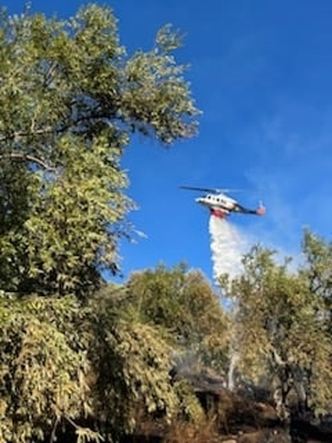 Φωτιά Πήλιο