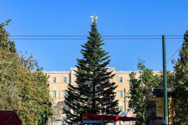 δενδρο