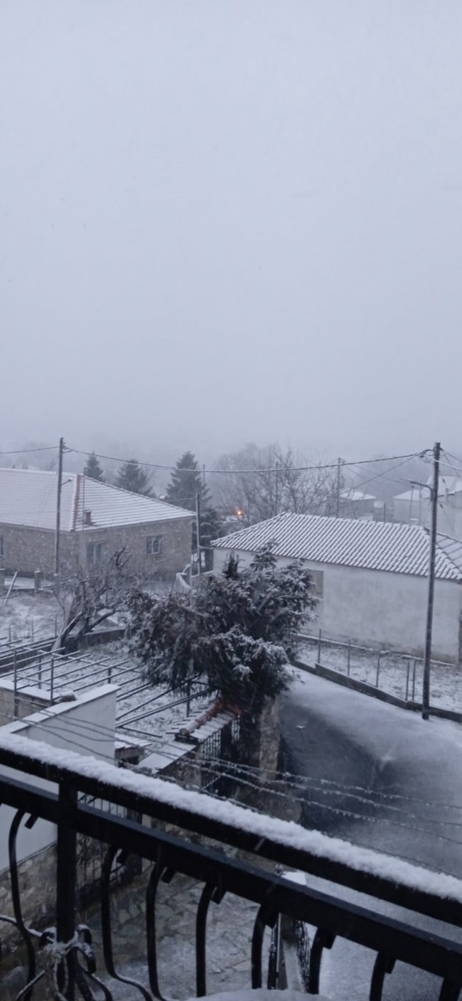 Το... έστρωσε στα χωριά της Λάρισας – Πανέμορφες "λευκές" εικόνες [εικόνες - βίντεο]