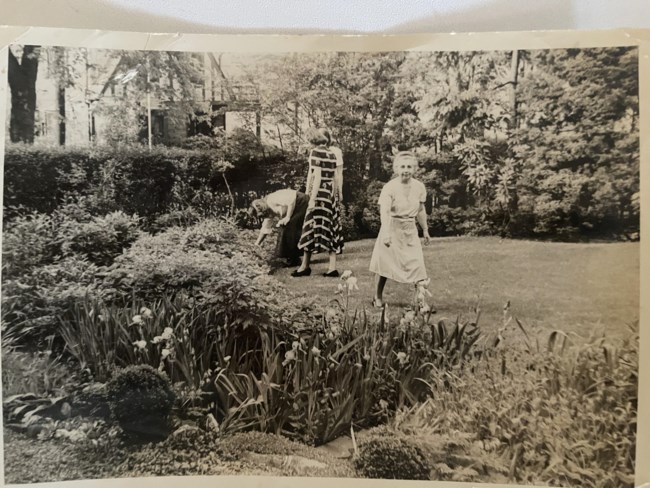 ΓΙΩΡΓΟΣ ΠΑΠΑΝΙΚΟΛΑΟΥ