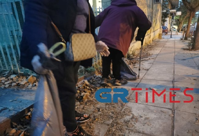 Κτηνωδία στη Θεσσαλονίκη: Δηλητηρίασαν 20 γάτες - Σκληρές εικόνες