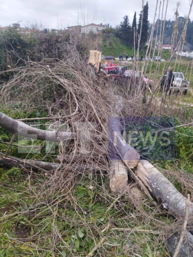 Τραγωδία στην Ηλεία: Νεκρός 27χρονος υλοτόμος– Καταπλακώθηκε από δέντρο