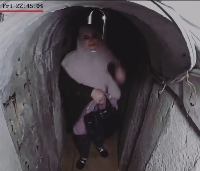 Σύζυγος Σινουάρ