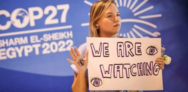 cop27