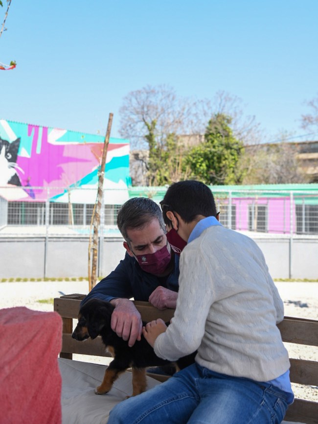 Μπακογιάννης