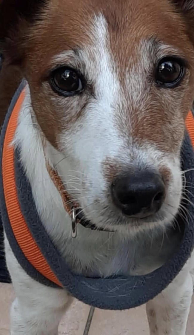 αγια παρασκευη