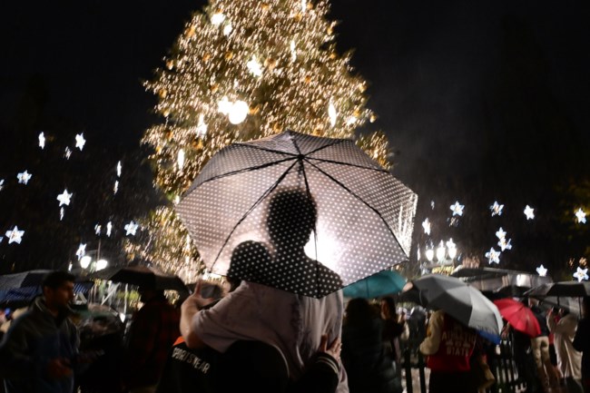 ΦΩΤΑΓΩΓΗΣΗ ΧΡΙΣΤΟΥΓΕΝΝΙΑΤΙΚΟ ΔΕΝΤΡΟ ΣΥΝΤΑΓΜΑ