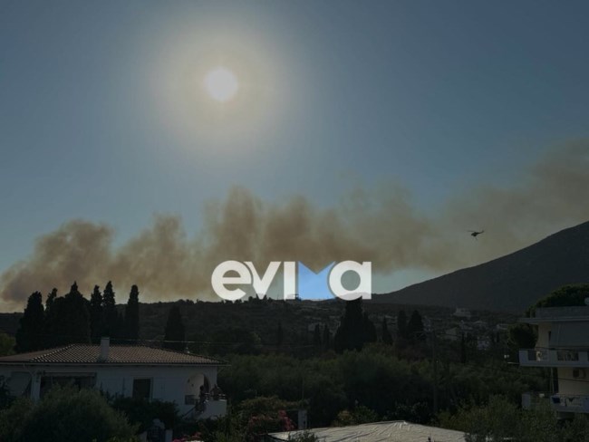 Εύβοια: Χωρίς ενεργό μέτωπο η πυρκαγιά στα Μεσοχώρια, καλύτερη η εικόνα της πυρκαγιάς στους Ζάρακες