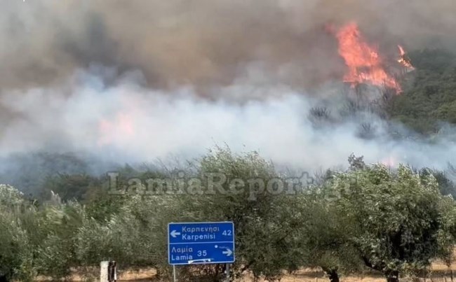 ΦΩΤΙΑ ΜΑΚΡΑΚΩΜΗ