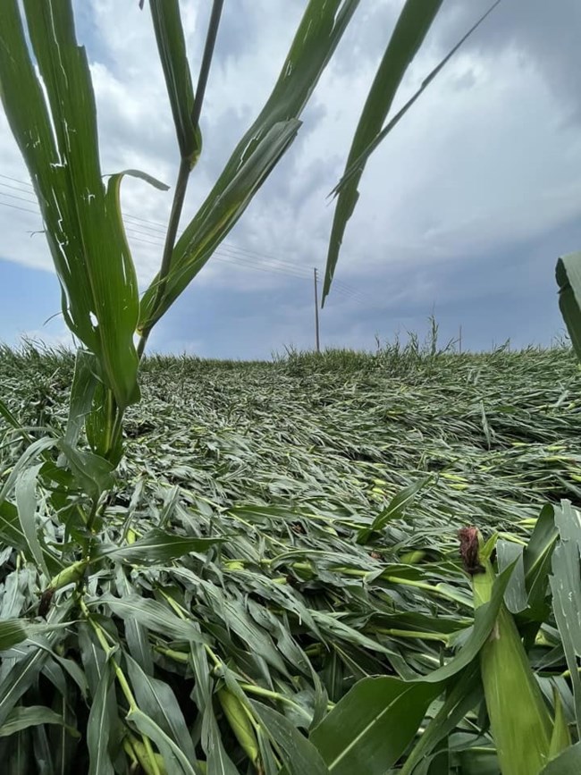 Ζημιές - Ξάνθη