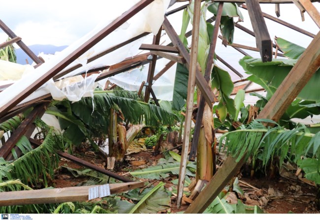 Μάλια Κακοκαιρία Καταστροφές