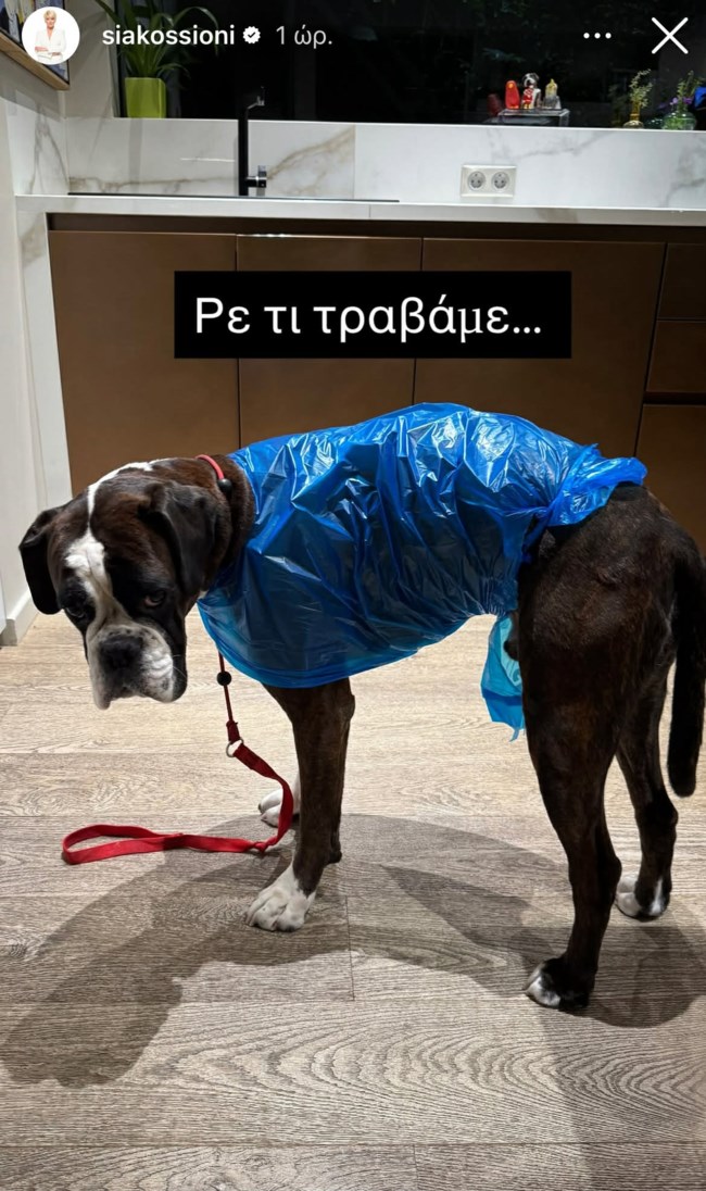 Η Σία Κοσιώνη στην κουζίνα του σπιτιού της - "Ρε τι τραβάμε"