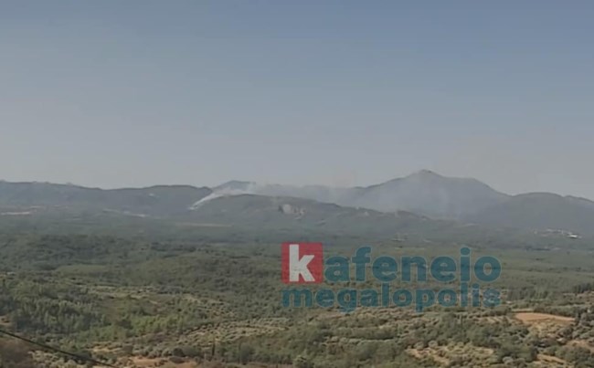 Συναγερμός για πυρκαγιά σε δασική έκταση στο Λεοντάρι Αρκαδίας – Επιχειρούν ισχυρές δυνάμεις