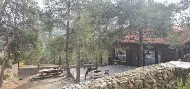 Θρίλερ στην Κύπρο με δύο εξαφανισμένες Ρωσίδες - Υποψίες για διπλό φονικό