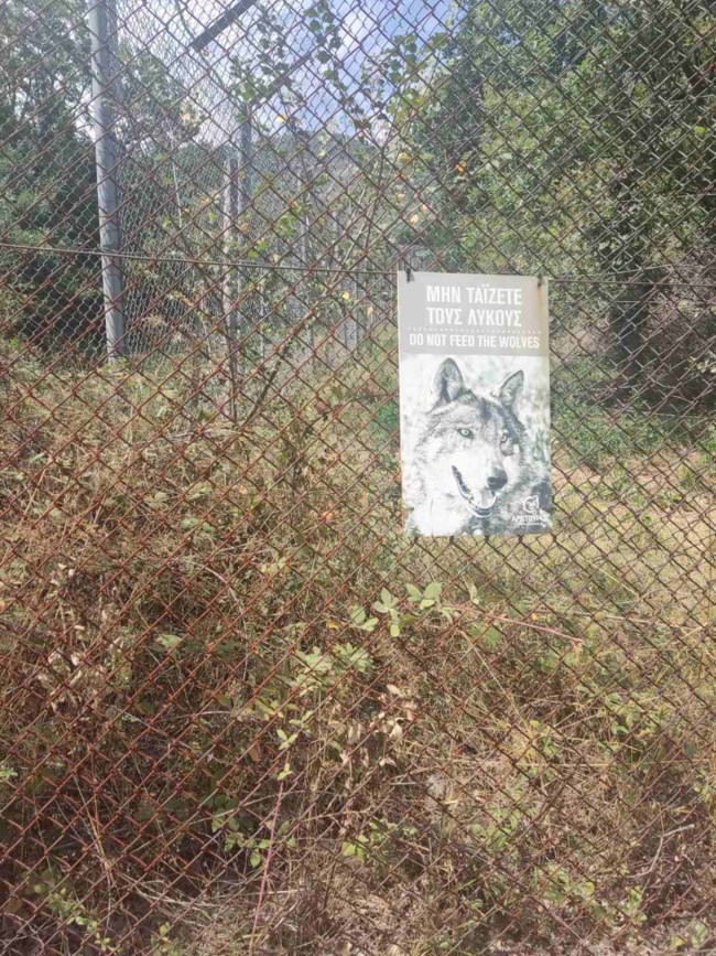 λυκος