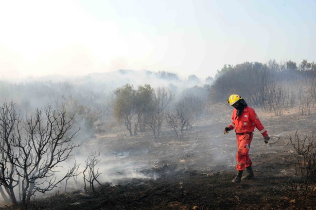 Ο Μητσοτάκης προσπαθεί να μαζέψει τα "σπασμένα" στην Πεντέλη μετά την πρωτοφανή καταστροφή από τις φωτιές