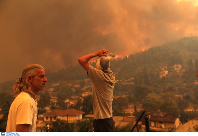 Τα διαφορετικά Χριστούγεννα των κατοίκων της Βόρειας Εύβοιας μετά τον εφιάλτη των πυρκαγιών