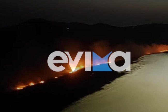 Νέος συναγερμός στην Πυροσβεστική: Φωτιά στην Εύβοια στο δάσος Άγιος - Μάχη με τις αναζωπυρώσεις σε Πάρνηθα, Έβρο, Βοιωτία