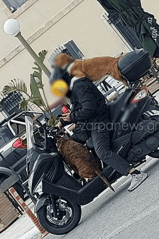τρικάβαλο Κρήτη