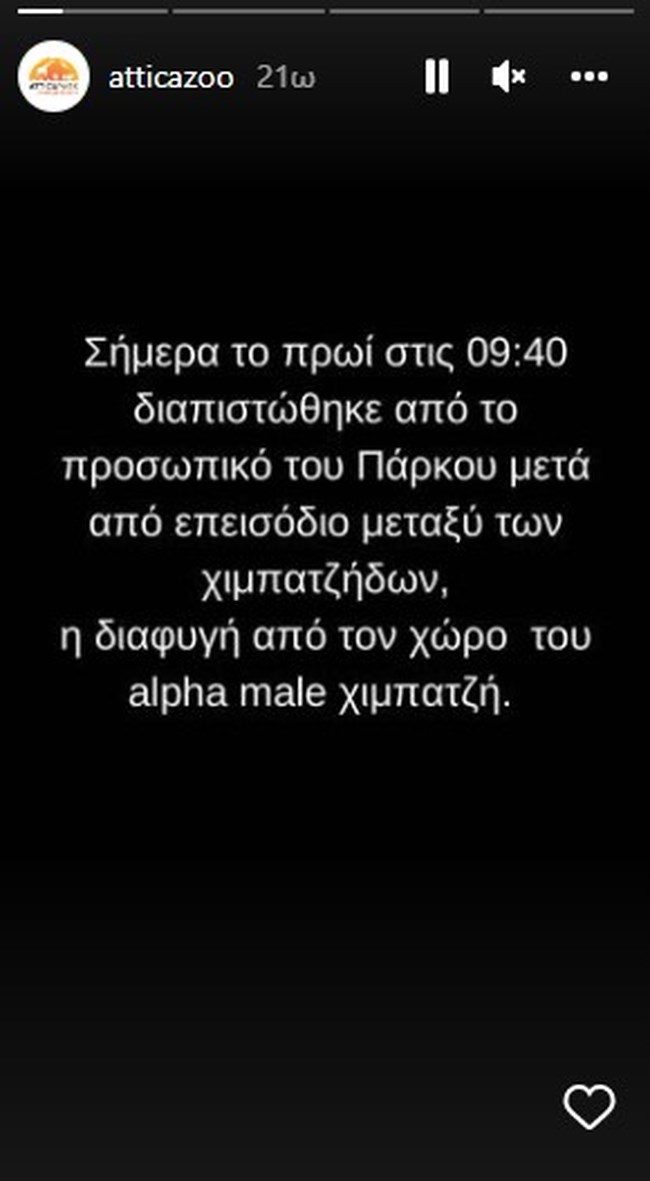 αττικο
