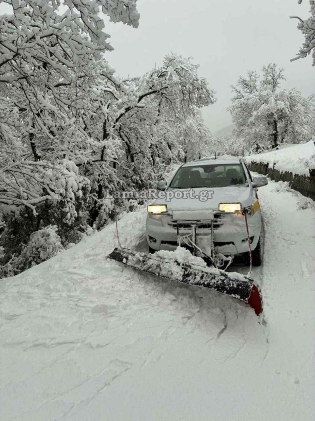 ΧΙΟΝΙΑ ΦΘΙΩΤΙΔΑ