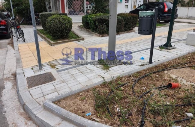 δολοφονια καλαμαρια