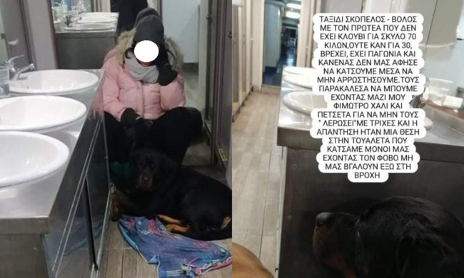 σκυλος πλοιο