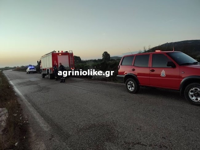 ΛΕΣΙΝΙ