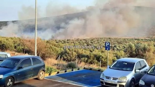 Φωτιά Βοιωτία