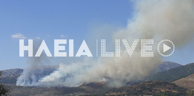 Συναγερμός στην Πυροσβεστική για φωτιά στην Αρχαία Ολυμπία