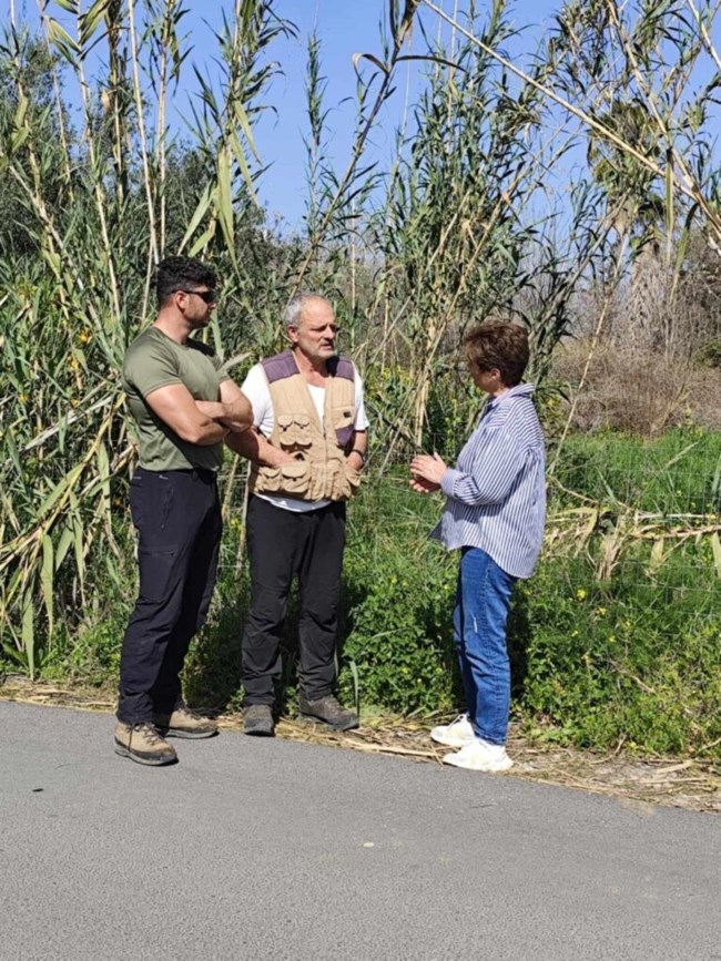 Γιόχαν