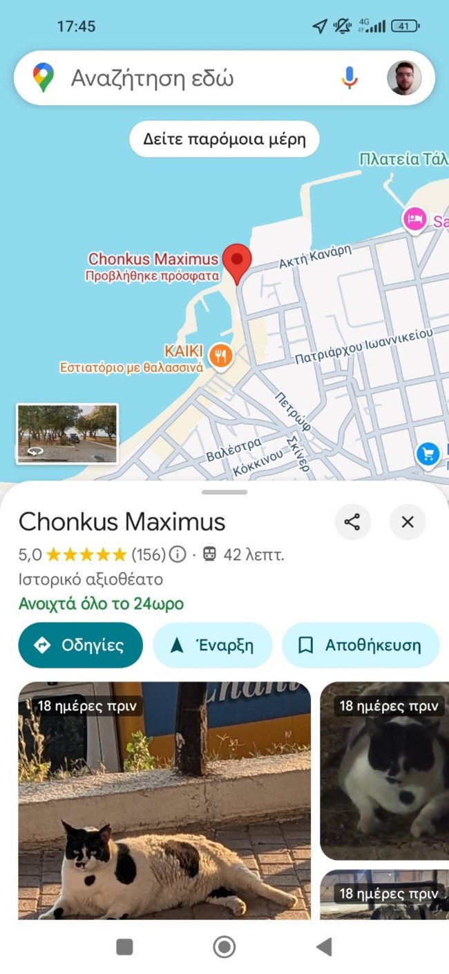 CHONKUS MAXIMUS