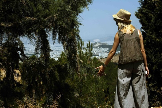 δασος τσιμεντο
