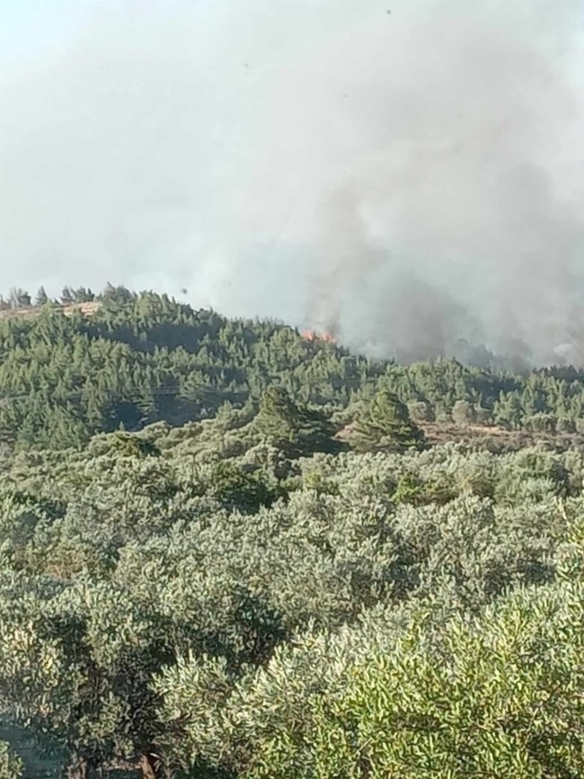 ΦΩΤΙΑ ΡΟΔΟΣ