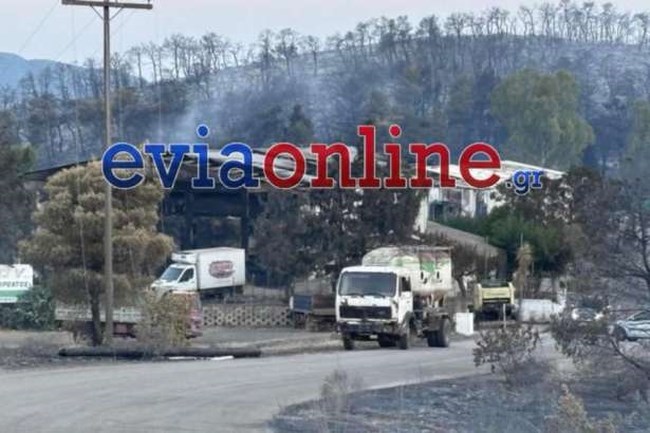 Φωτιά στην Εύβοια: Εικόνες από τα αποκαΐδια που άφησε πίσω της η καταστροφική πυρκαγιά [βίντεο]