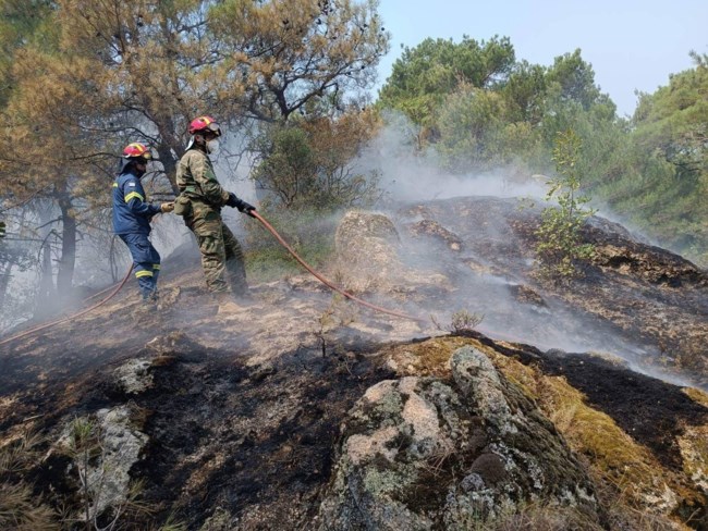 Φωτιά στη Δαδιά: Σκληρή μάχη με τις φλόγες στο νοτιοδυτικό πύρινο μέτωπο - O άνεμος "άνοιξε" την πυρκαγιά