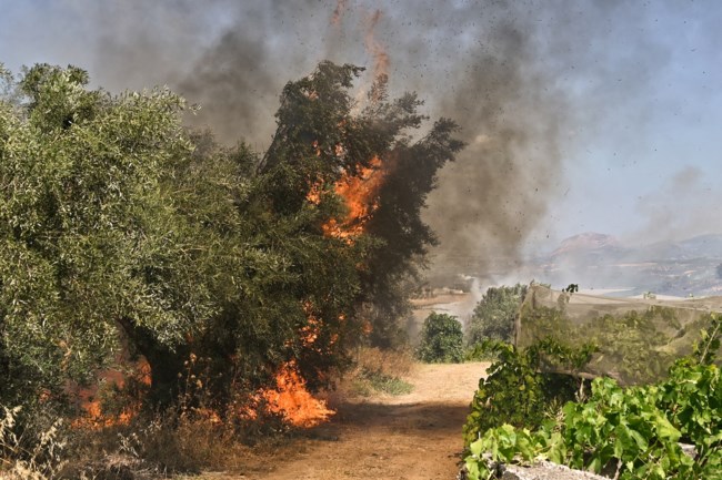 Φωτιά στην Κορινθία