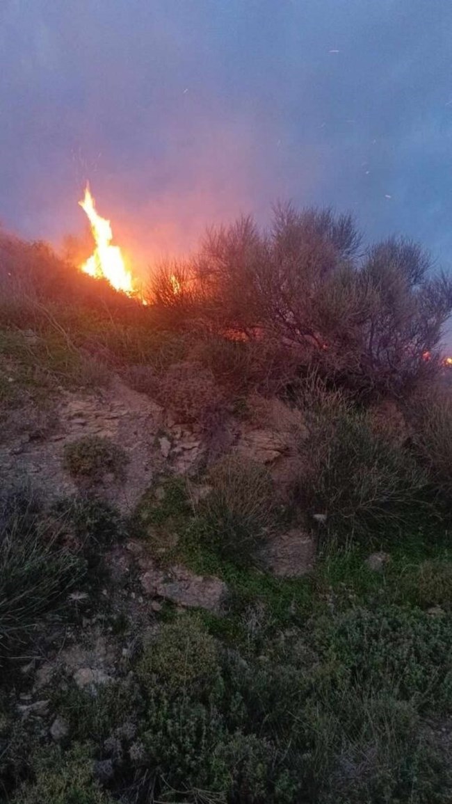 Υπό μερικό έλεγχο η πυρκαγιά στη Σητεία - Ισχυροί άνεμοι στην περιοχή